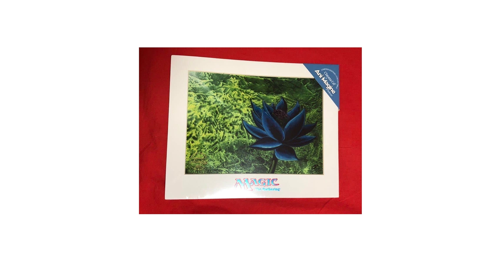 MTG アートプリント　ブラックロータス Amazon.co.jp: MTG アートプリント Black Lotus ブラック